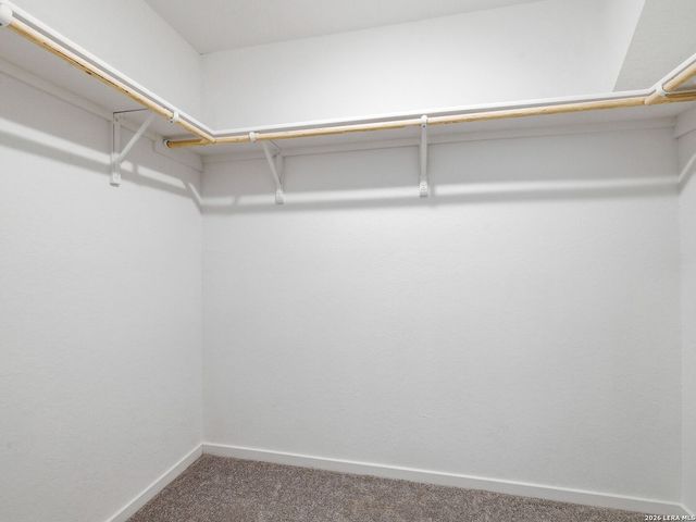 7311 Adam Star, San Antonio, TX 78263