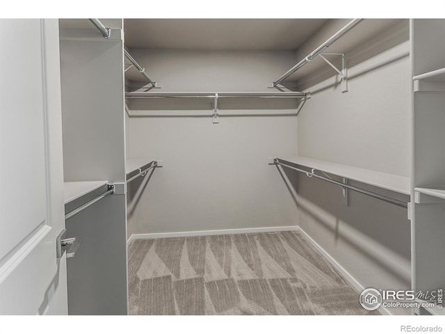 4905 Autumn Leaf Drive, Timnath, CO 80547