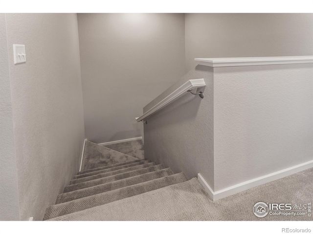 4905 Autumn Leaf Drive, Timnath, CO 80547