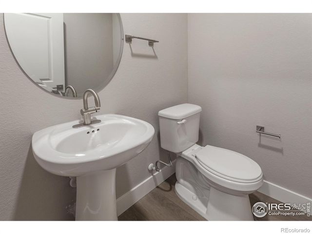 4905 Autumn Leaf Drive, Timnath, CO 80547