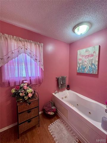 122 E Lewis Street, Lilbourn, MO 63862