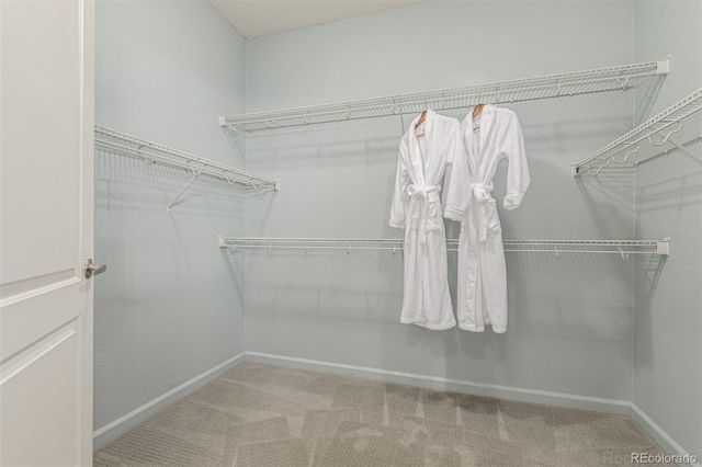 8614 Gold Peak Drive B, Highlands Ranch, CO 80130