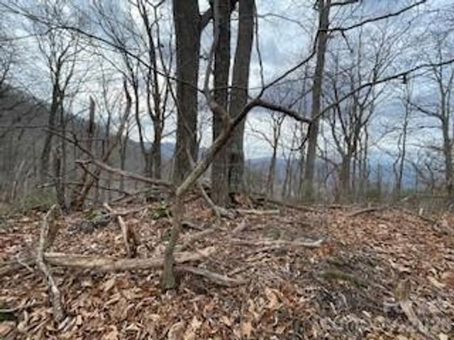135 Gavin Glen Road, Weaverville, NC 28787
