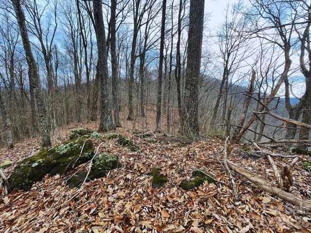 135 Gavin Glen Road, Weaverville, NC 28787