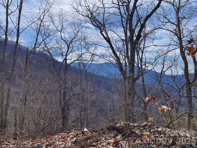 135 Gavin Glen Road, Weaverville, NC 28787