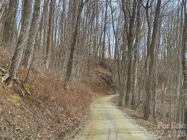 135 Gavin Glen Road, Weaverville, NC 28787