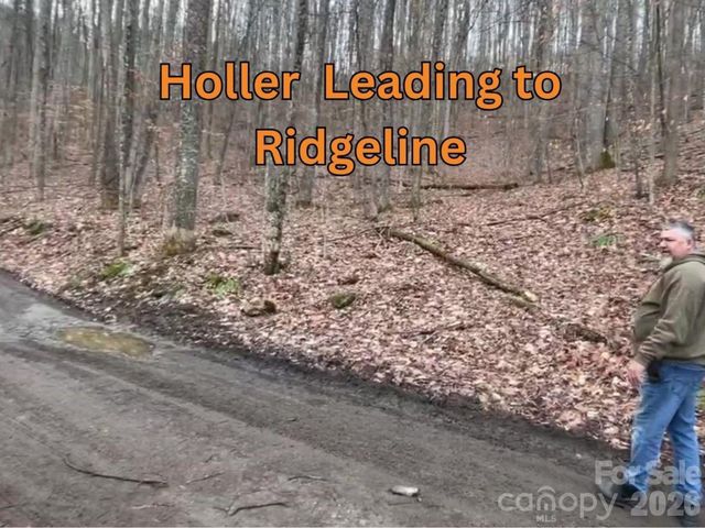 135 Gavin Glen Road, Weaverville, NC 28787