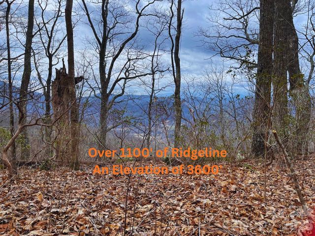 135 Gavin Glen Road, Weaverville, NC 28787