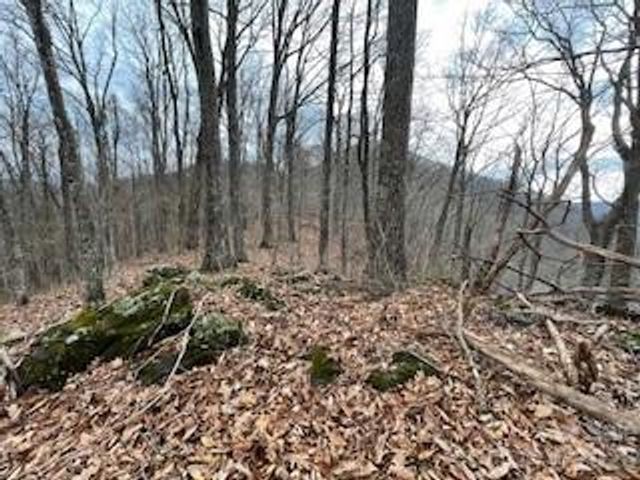 135 Gavin Glen Road, Weaverville, NC 28787