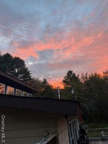 10 Dorm Drive, Fallsburg, NY 12747