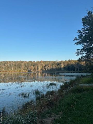 10 Dorm Drive, Fallsburg, NY 12747