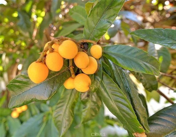 17860 E Laxford, Azusa, CA 91702