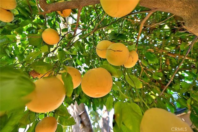 17860 E Laxford, Azusa, CA 91702