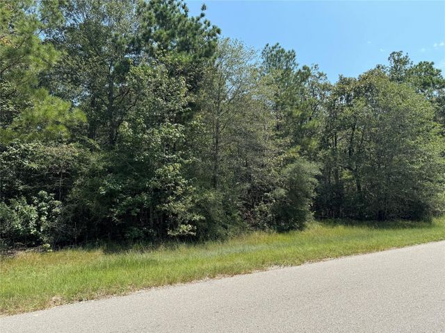 0 Autumn Bend Dr, Conroe, TX 77303