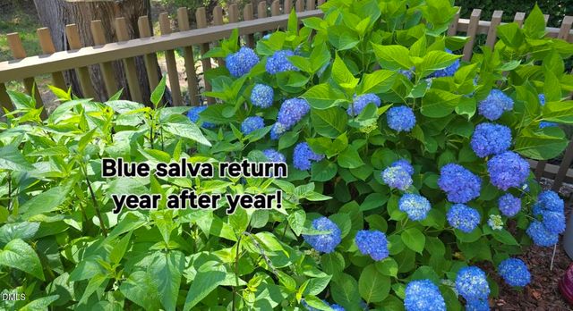 104 Natchez Court, Cary, NC 27519