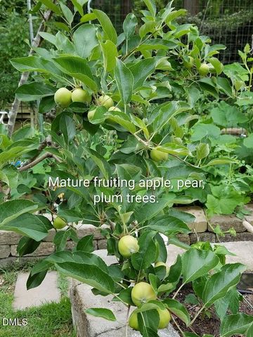 104 Natchez Court, Cary, NC 27519