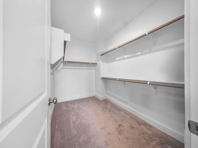 118 White Aster CT, Georgetown, TX 78626