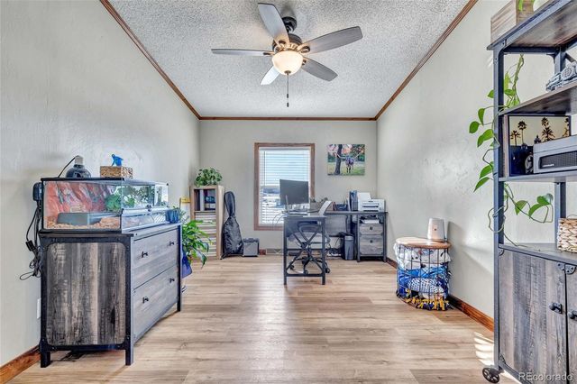 83 Ridge Point Circle, Divide, CO 80814