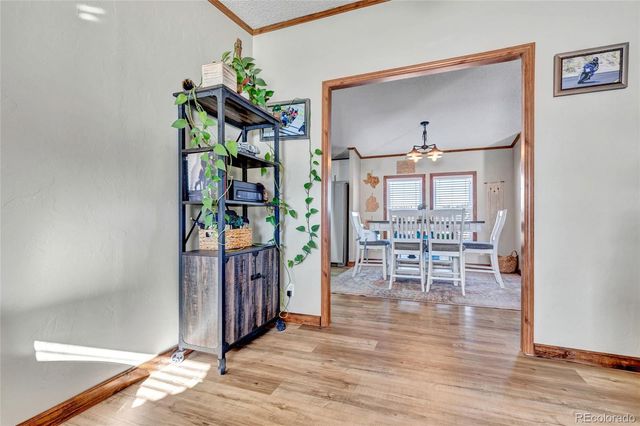 83 Ridge Point Circle, Divide, CO 80814