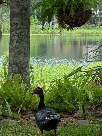 4850 WALNUT RIDGE ROAD, Land O Lakes, FL 34638