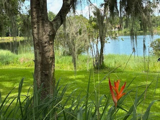 4850 WALNUT RIDGE ROAD, Land O Lakes, FL 34638