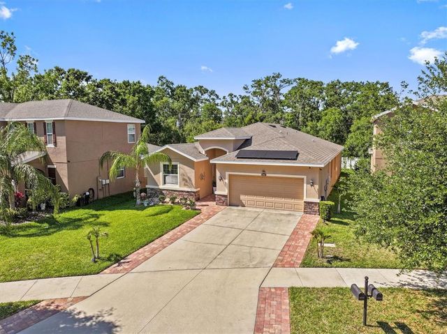 10514 SCENIC HOLLOW DRIVE, Riverview, FL 33578