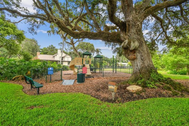 12310 STONELAKE RANCH BOULEVARD, Thonotosassa, FL 33592
