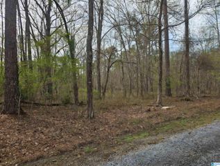lot 39 FORESTDALE DRIVE, Talladega, AL 35160