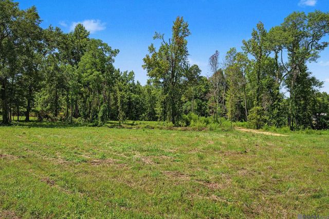 17785 La Hwy 16, Denham Springs, LA 70726