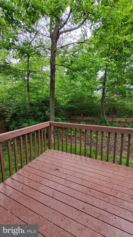 4703 CEDAR CT, Beltsville, MD 20705