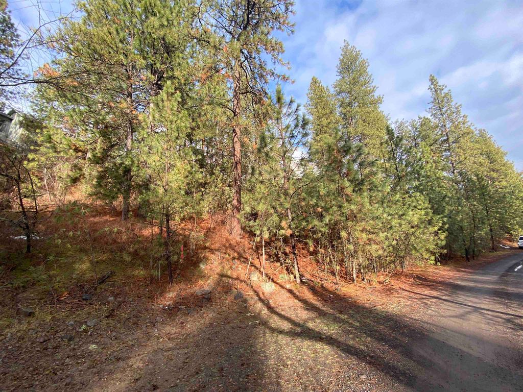 10XX S Azalea Dr, Spokane, WA 99224 photo 2