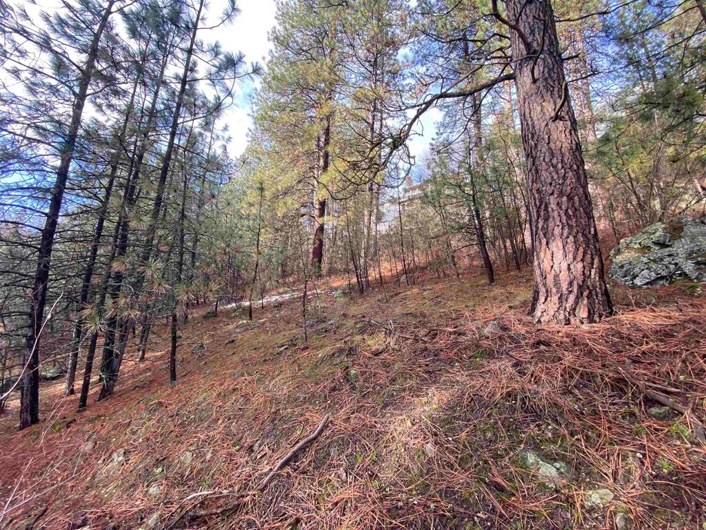 10XX S Azalea Dr, Spokane, WA 99224 photo 12