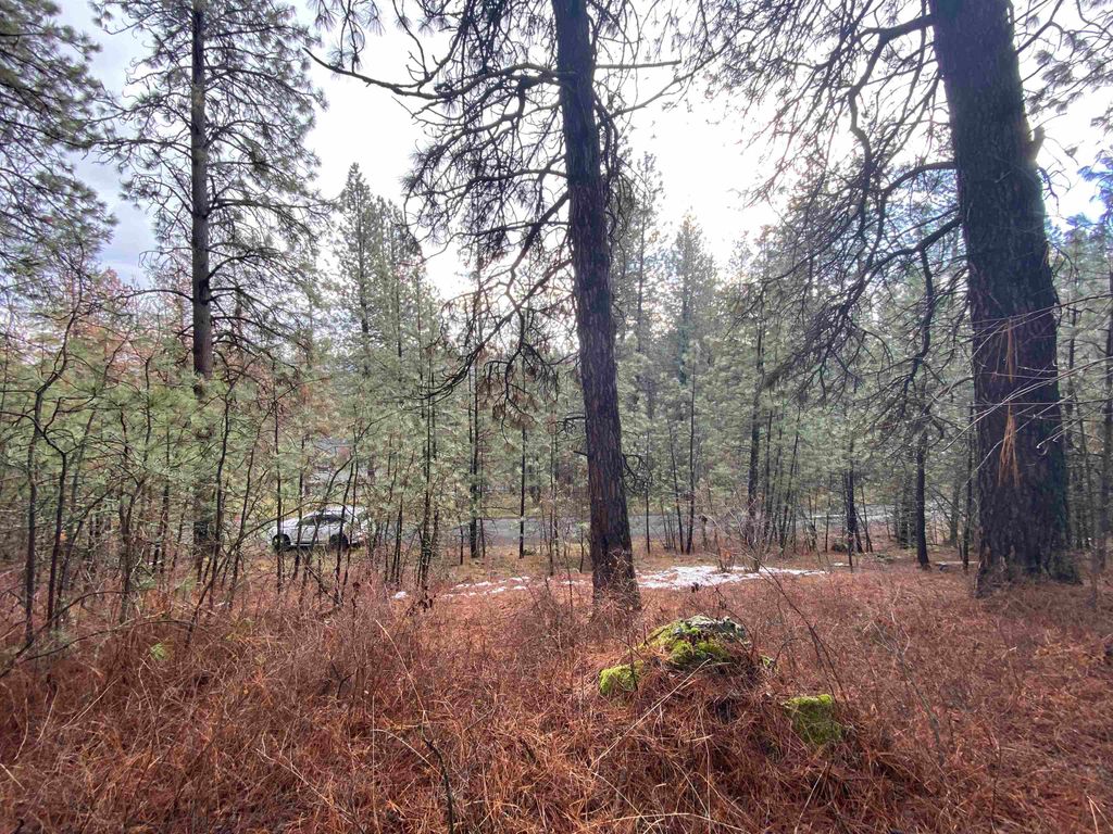 10XX S Azalea Dr, Spokane, WA 99224 photo 3