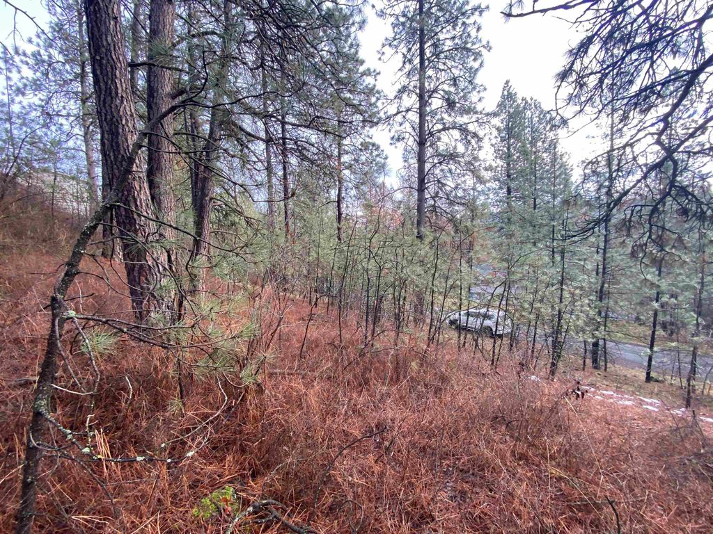 10XX S Azalea Dr, Spokane, WA 99224 photo 4