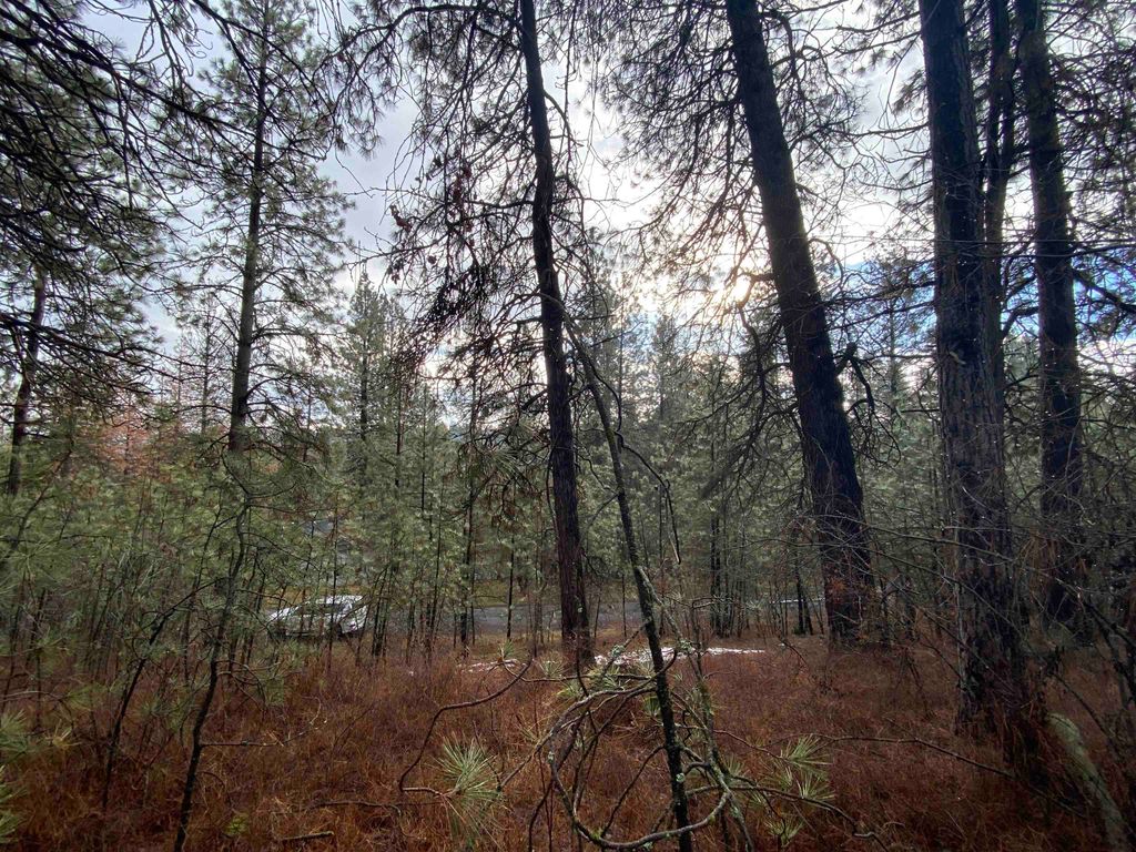 10XX S Azalea Dr, Spokane, WA 99224 photo 5