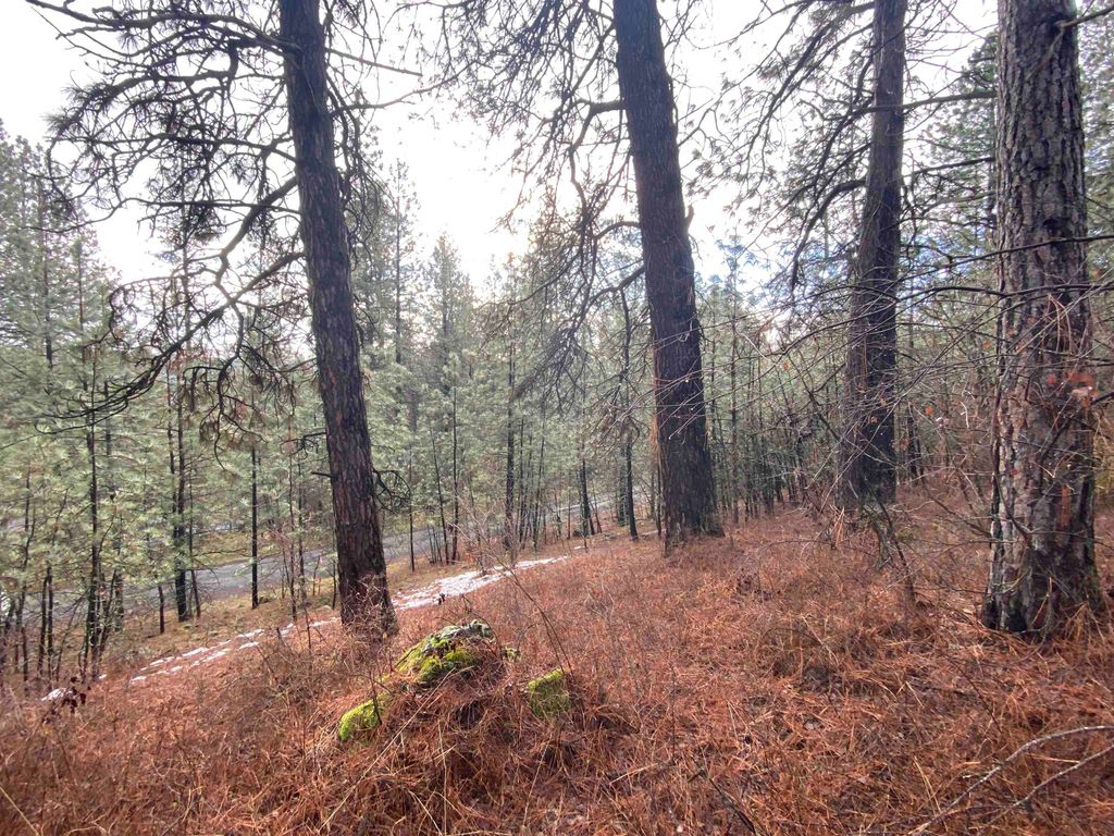 10XX S Azalea Dr, Spokane, WA 99224 photo 7