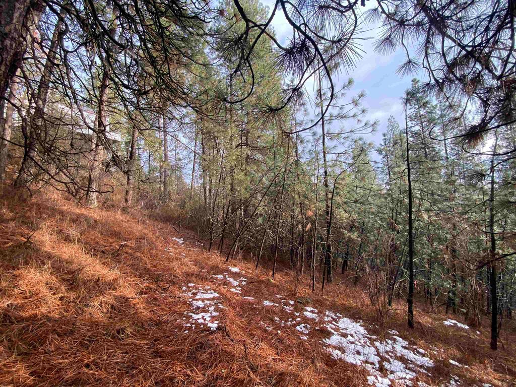 10XX S Azalea Dr, Spokane, WA 99224 photo 8