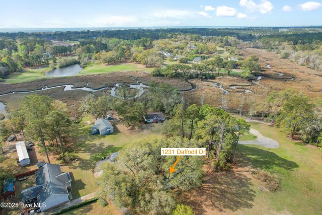 1231 Daffodil Drive, Shallotte, NC 28470