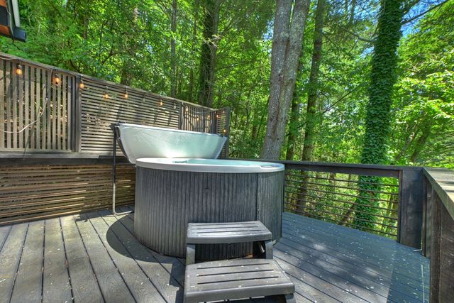 1027 Power Dam Road, Blue Ridge, GA 30513