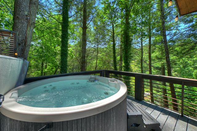1027 Power Dam Road, Blue Ridge, GA 30513