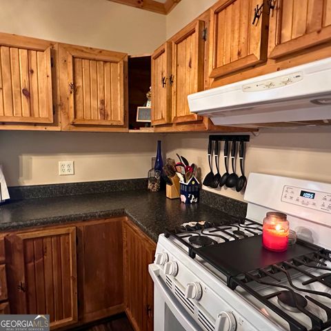 77 Hollow Log Path, Cleveland, GA 30528