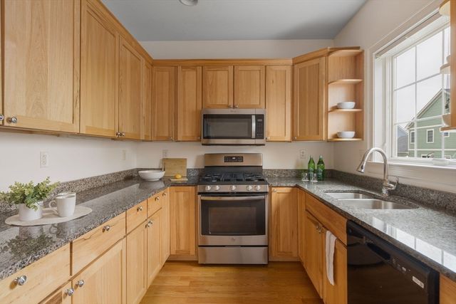 17 Snowden Way, Boston, MA 02124