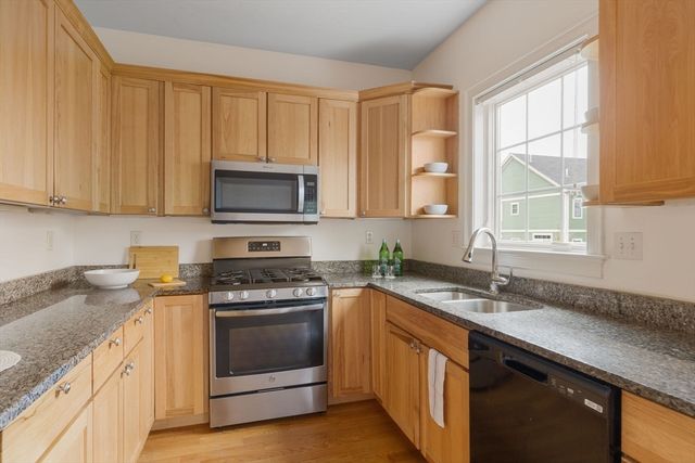 17 Snowden Way, Boston, MA 02124