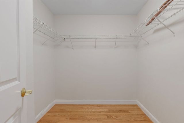 17 Snowden Way, Boston, MA 02124