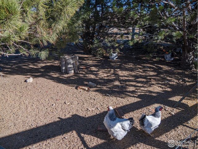 15681 County Road 74, Eaton, CO 80615