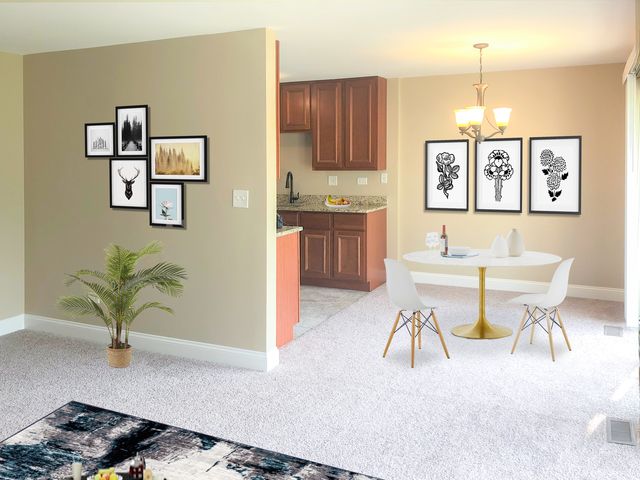 360 NEWPORT Lane C1, Bartlett, IL 60103