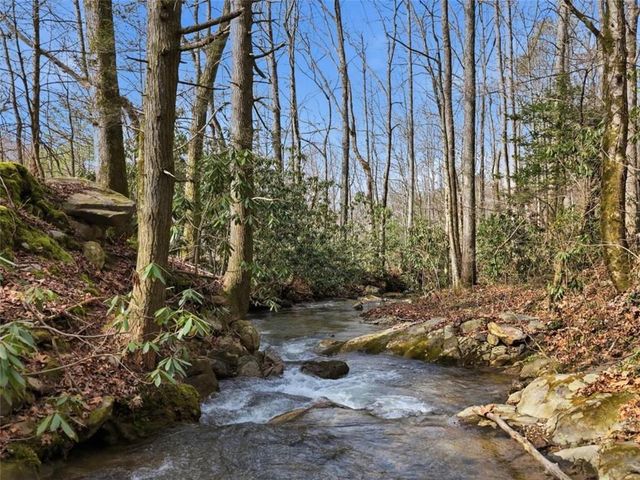 861 Little Rock Creek, Cherry Log, GA 30522