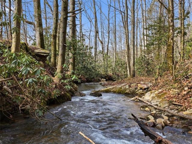 861 Little Rock Creek, Cherry Log, GA 30522