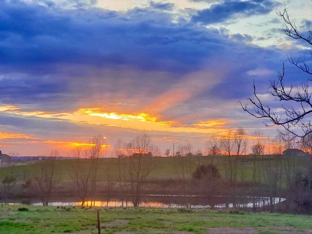 1335 Madison 7215, Hindsville, AR 72738