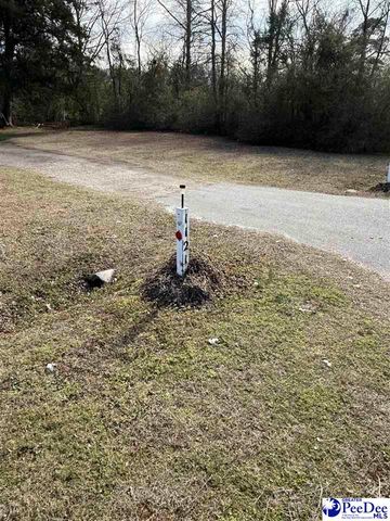 1121 Timmonsville Hwy, Darlington, SC 29532